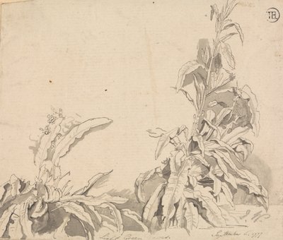 Docks, September 6, 1777 by Unbekannt Unbekannt